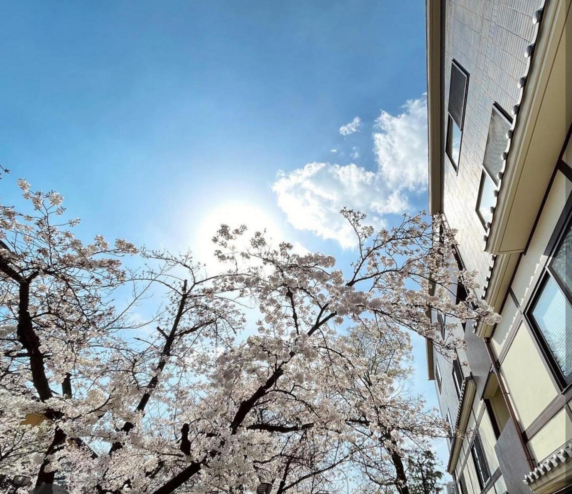 Hotel Alza Kyoto — Photos 3